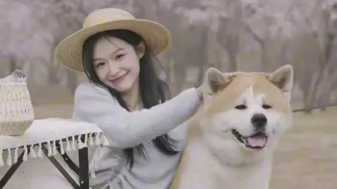 《她似晚风过境时》：青春的悸动与遗憾，一场关于错过与成长的爱情诗篇