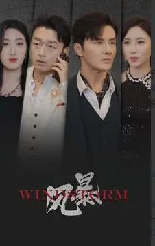 《风暴2024》：年度灾难巨制？还是特效炫技？深度解析与观后感